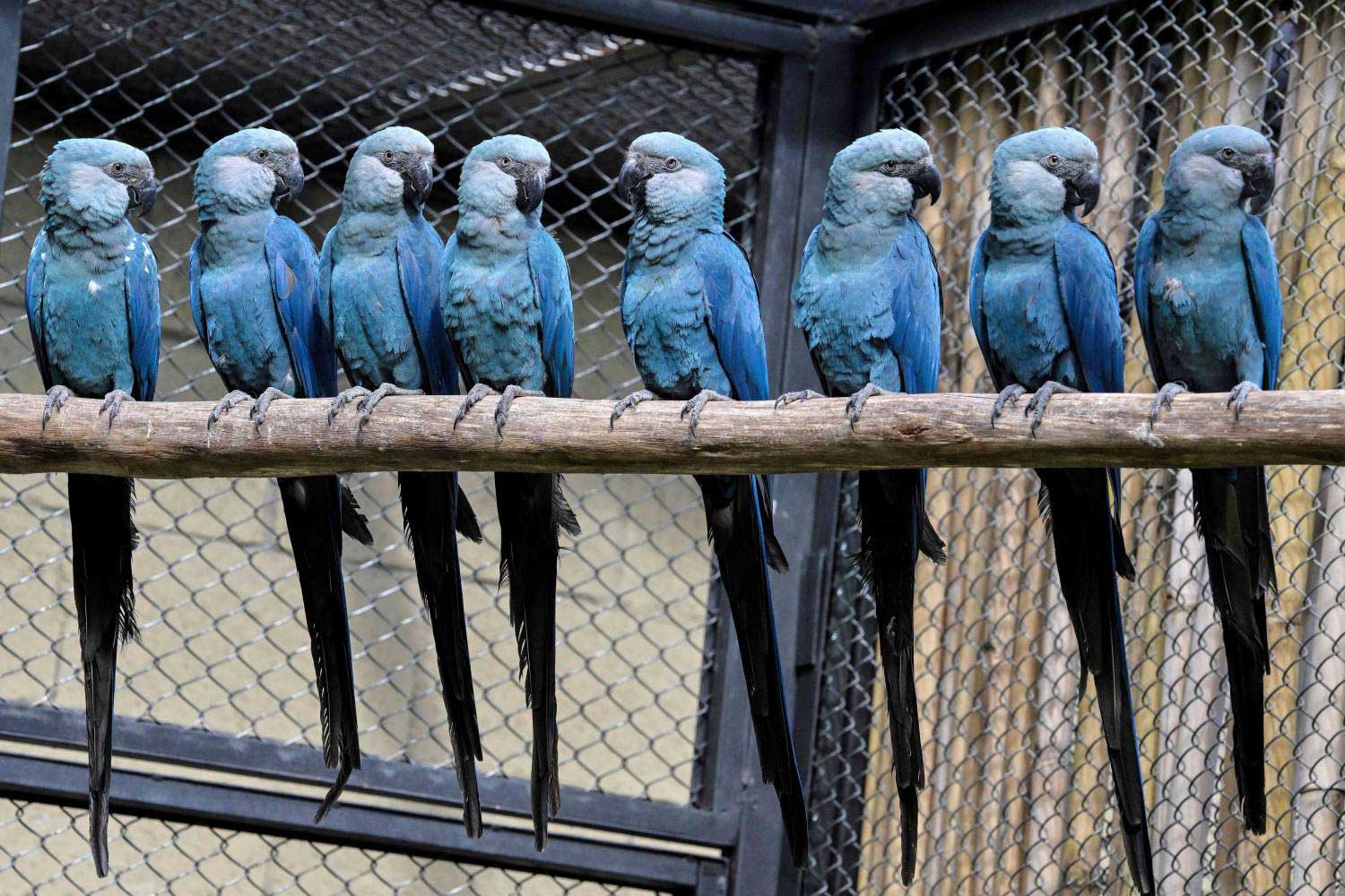 عدد مثير Thumbnail