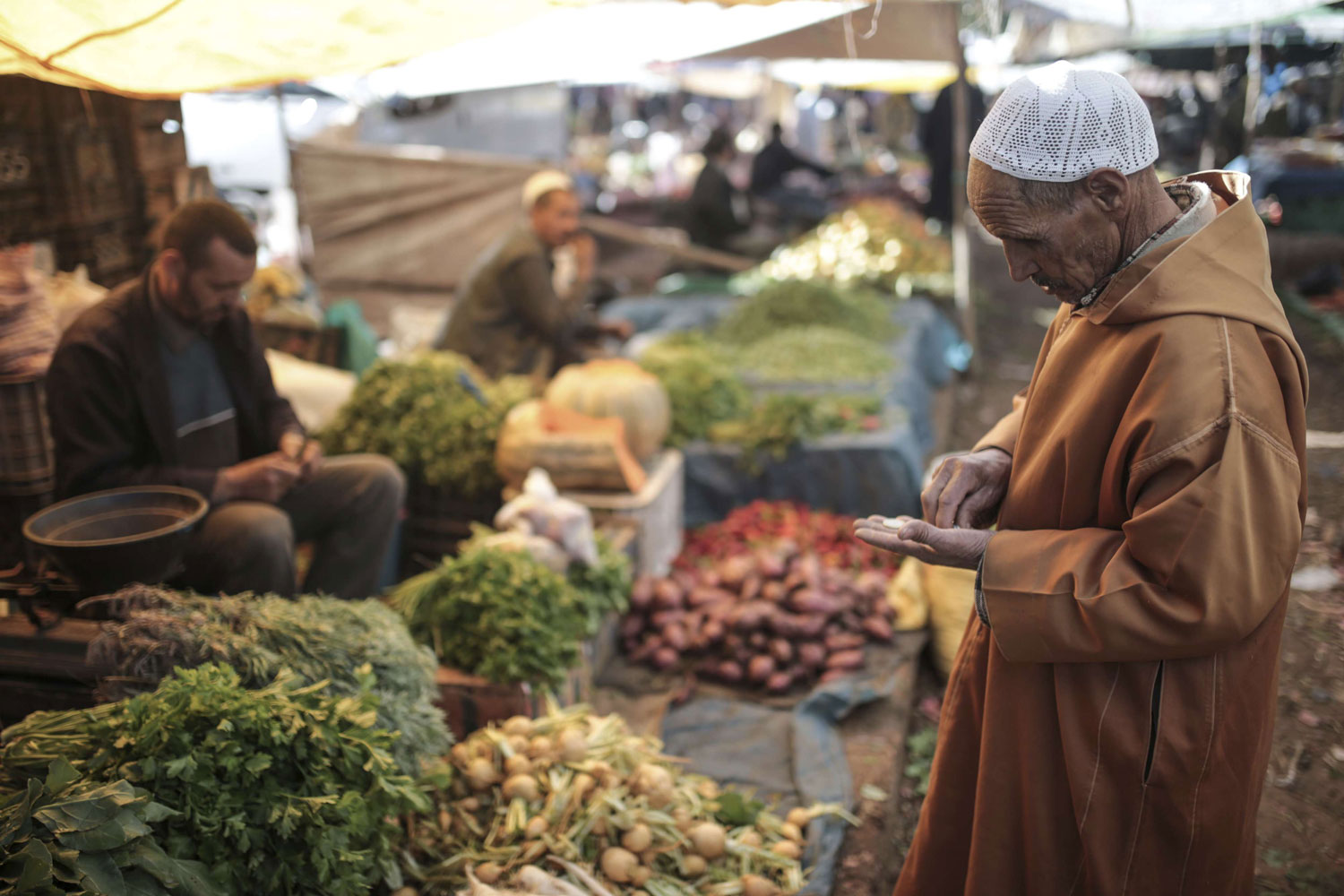 نتائج الإحصاء ستسهم في فهم أفضل لاحتياجات المواطنين