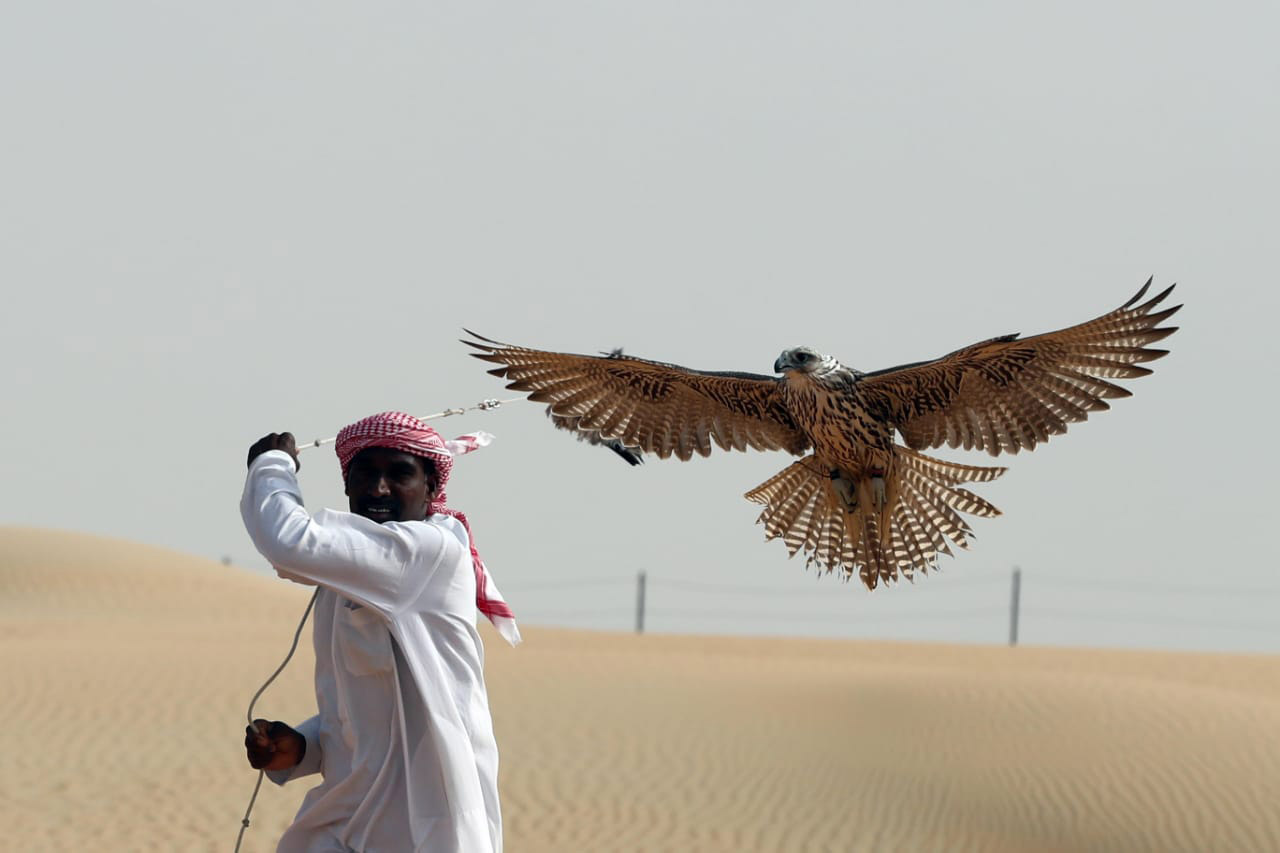 مسابقات تراثية متنوعة