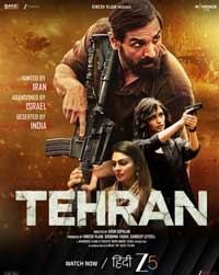 الفيلم يظهر الضعف الهيكلي والتقني لسينما بوليوود في دخول مناطق ليس لديها معرفة تاريخية أو ثقافية بها